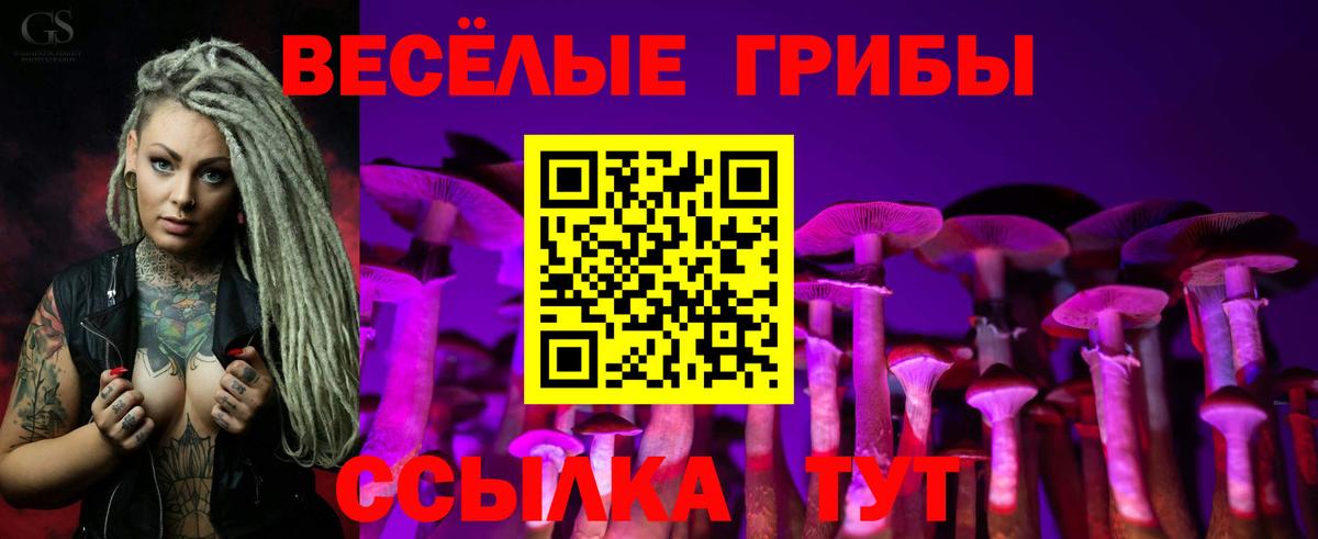 Зеленодольск  Псилоцибиновые грибы Cubensis  Вход с VPN 